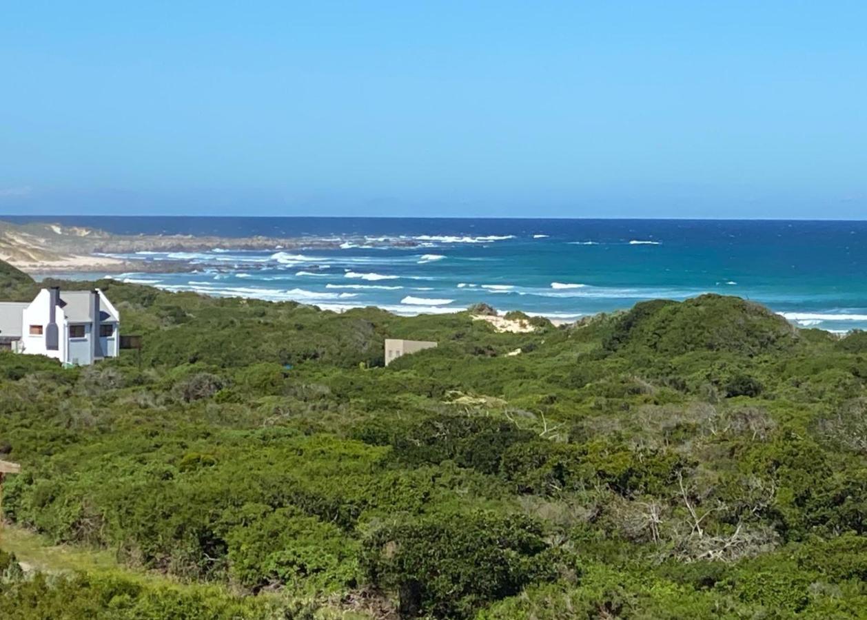 Вилла A Real Gem In Cape St Francis Кейп-Сент-Фрэнсис Экстерьер фото